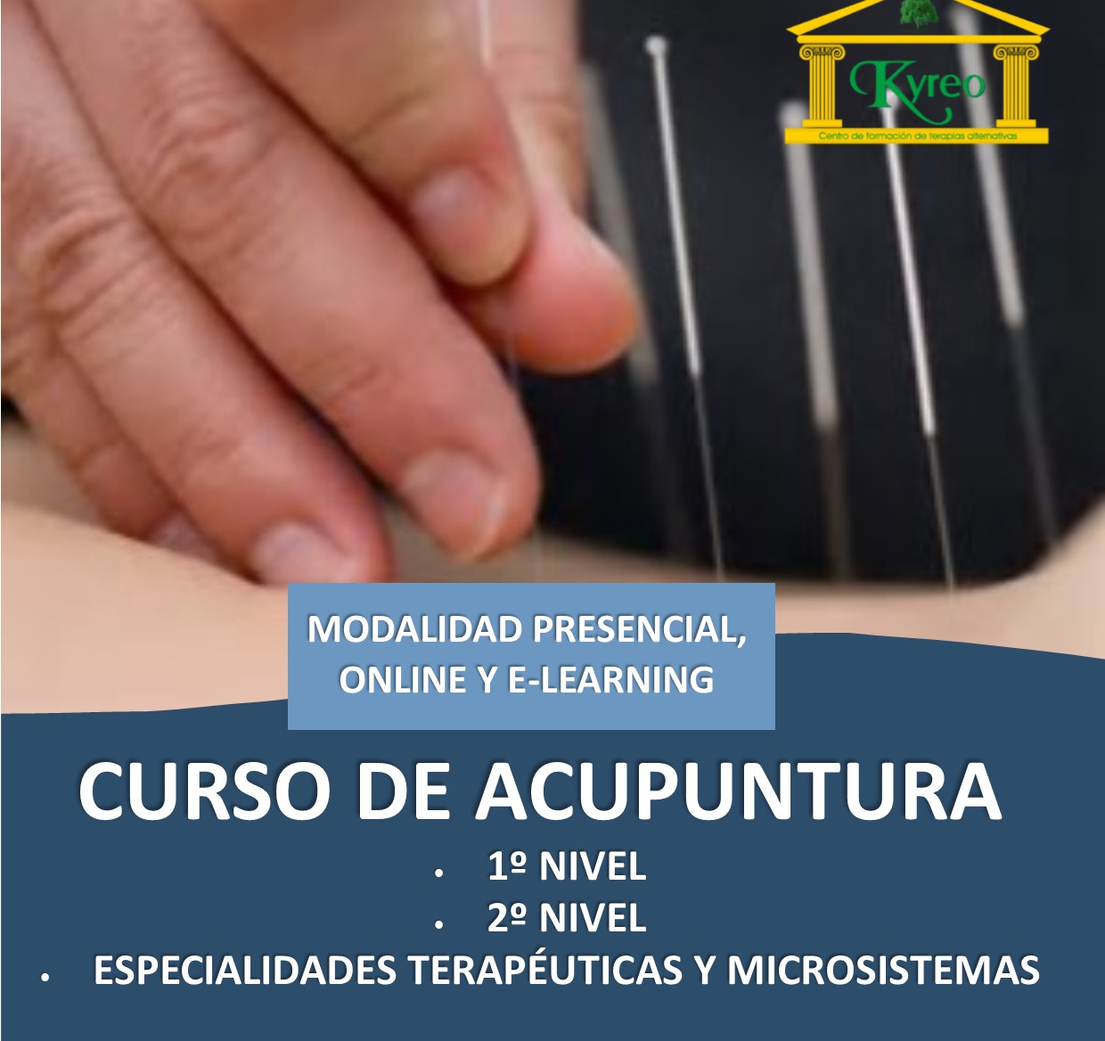 Curso de Acupuntura MTC en Kyreo