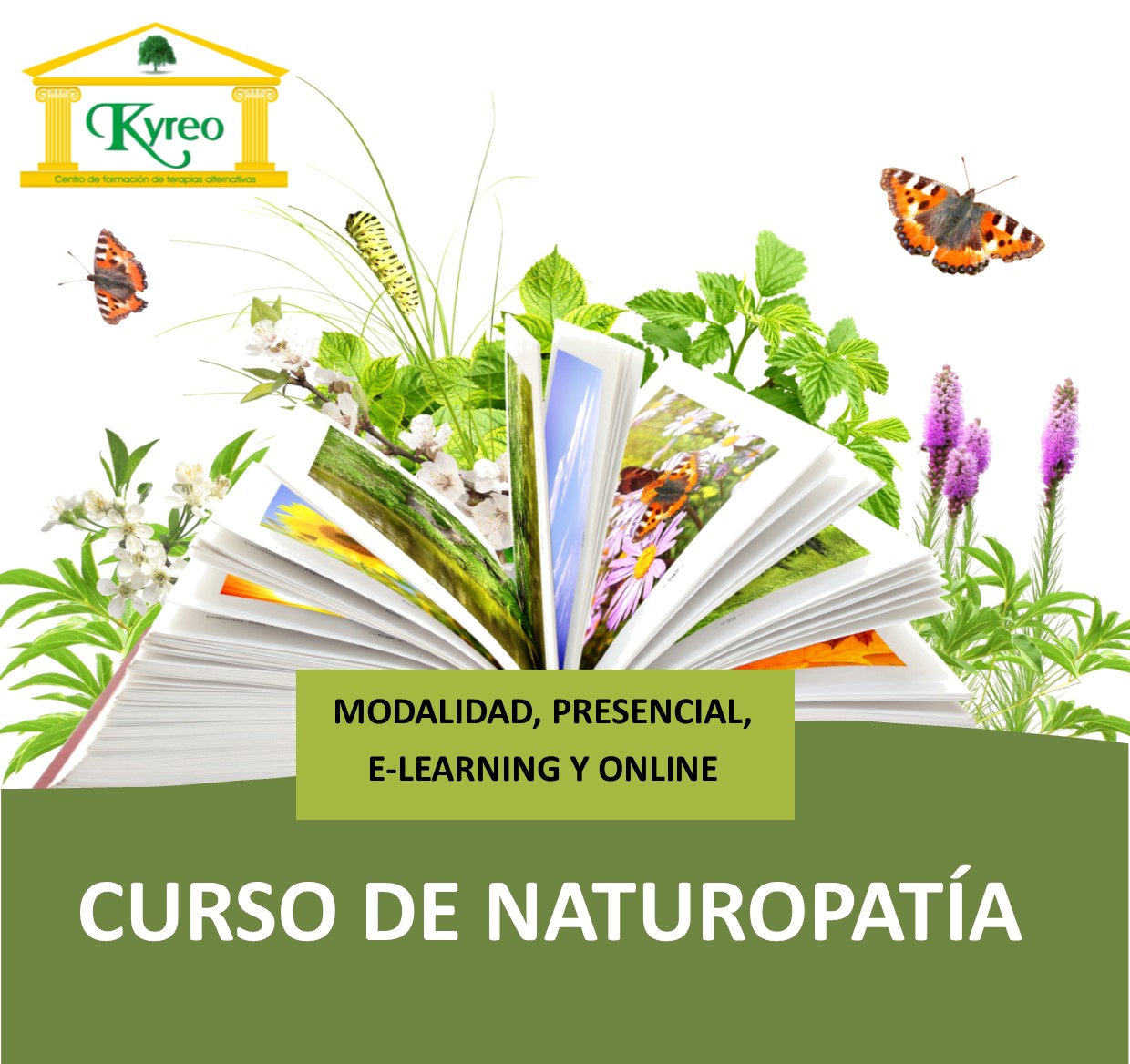 Inicio Curso de NATUROPATIA en Kyreo