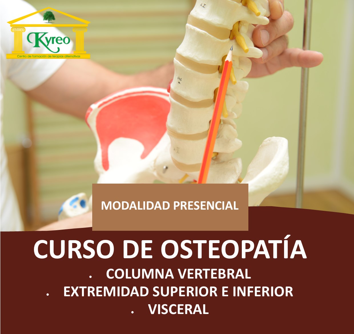 Curso de OSTEOPATÍA en Kyreo