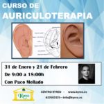 Curso de AURICULOTERPIA en Kyreo