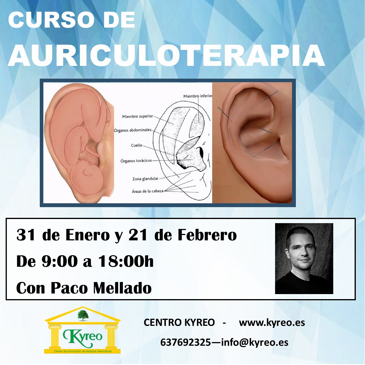 Curso de AURICULOTERPIA en Kyreo