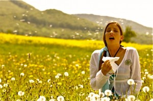 pollen-helps-allergies-phot